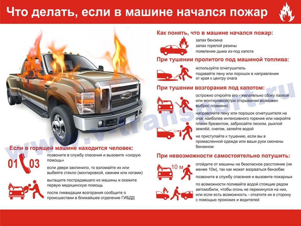 Изображения.