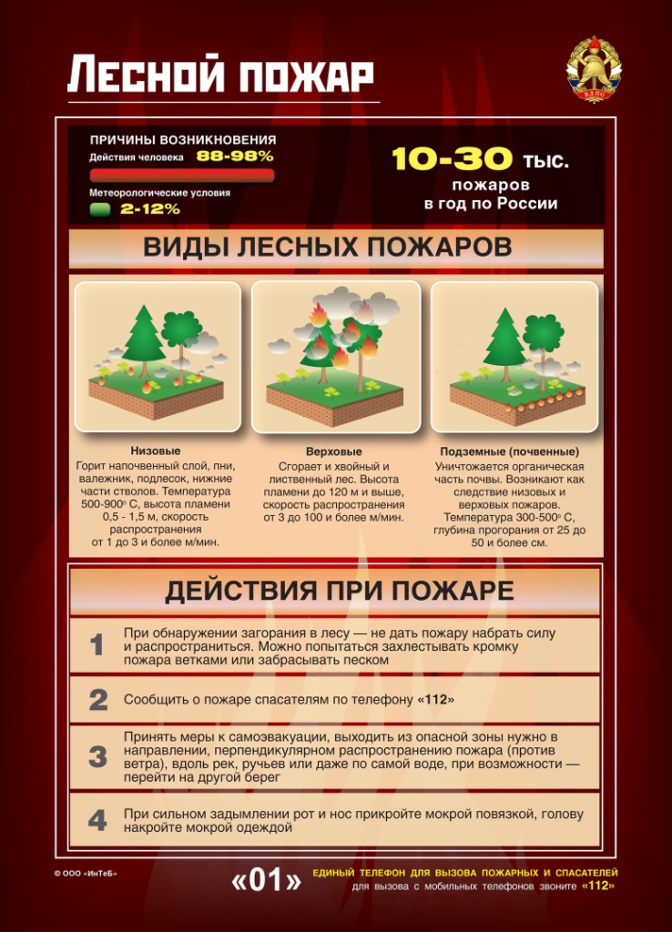 Изображения.